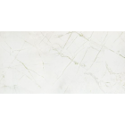 PŁYTKA ŚCIENNA RAINFOREST WHITE GLOSS 119,8X59,8 - DOMINO